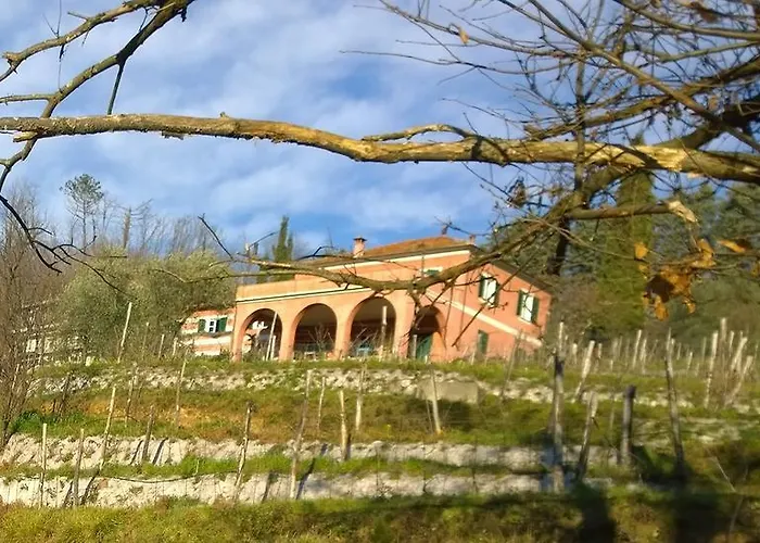 Фермерский дом Agriturismo Cerrolungo Специя