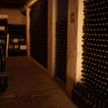 ファームステイ Agriturismo Cerrolungo