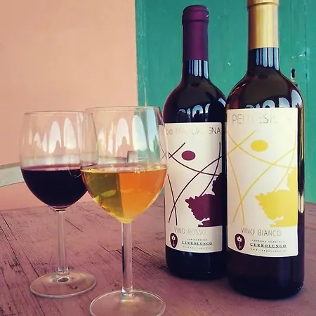 Agriturismo Cerrolungo ファームステイ