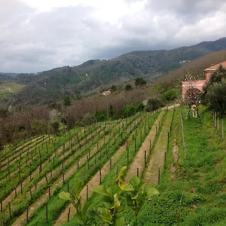 Agriturismo Cerrolungo ファームステイ