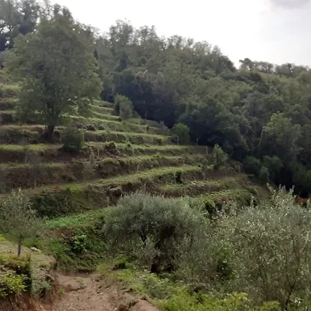 Cerrolungo * La Spezia