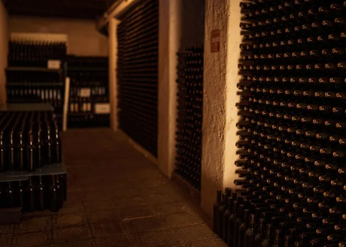 Фермерский дом Agriturismo Cerrolungo