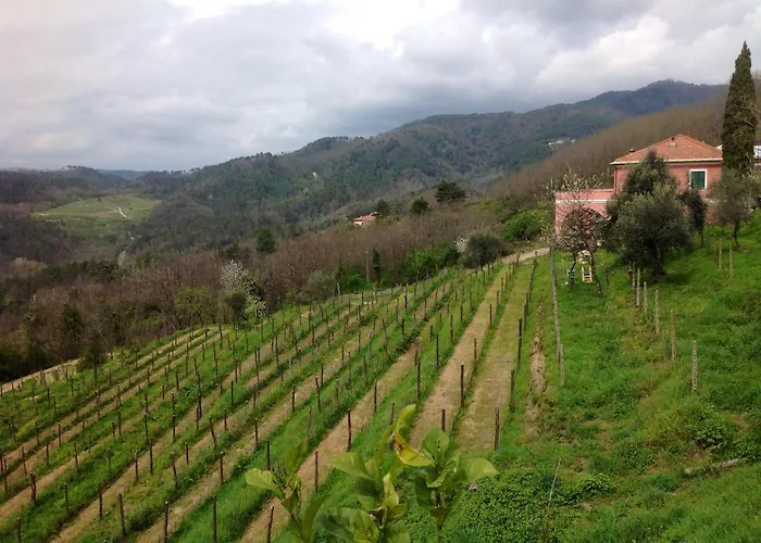Agriturismo Cerrolungo Фермерский дом